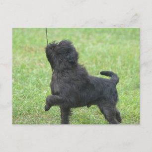 Cartão Postal Personalizar produto