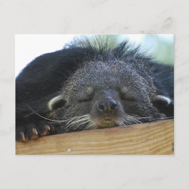 Cartão Postal Personalizar produto (Frente)