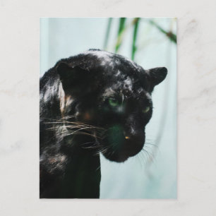 Cartão Postal Personalizar produto