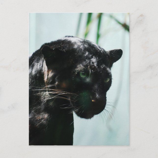 Cartão Postal Personalizar produto (Frente)