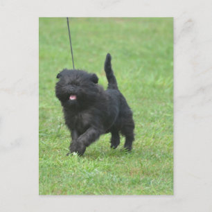 Cartão Postal Personalizar produto