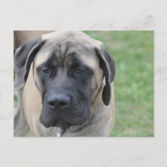 Cartão Postal Personalizar produto (Frente)