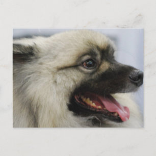 Cartão Postal Personalizar produto