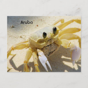 Cartão Postal Personalizar produto