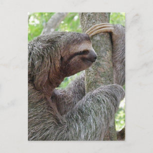 Cartão Postal Personalizar produto