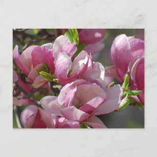 Cartão Postal Personalizar produto