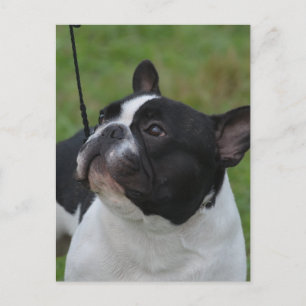 Cartão Postal Personalizar produto