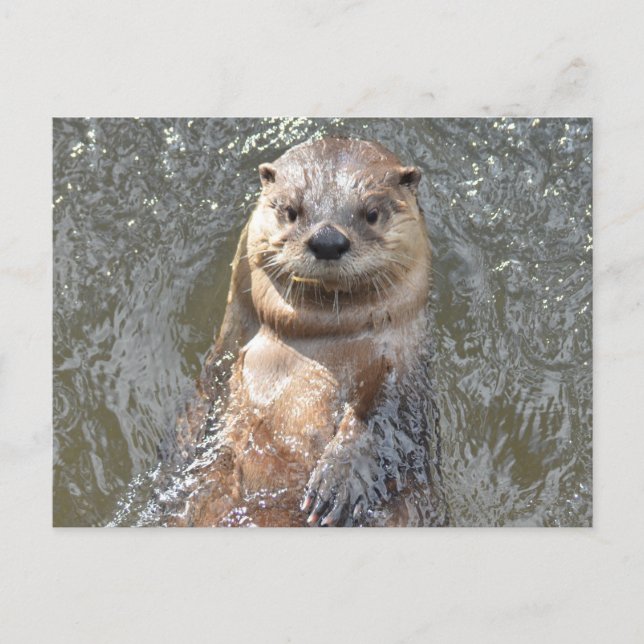 Cartão Postal Personalizar produto (Frente)