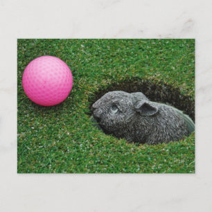 Cartão Postal Personalizar produto