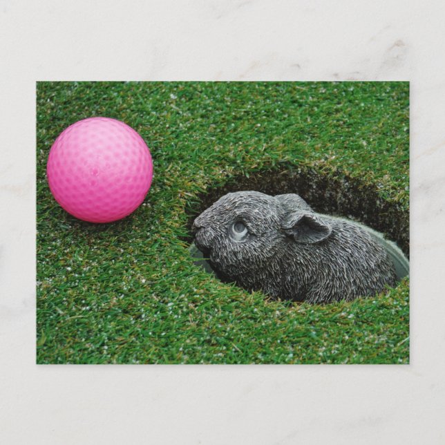 Cartão Postal Personalizar produto (Frente)