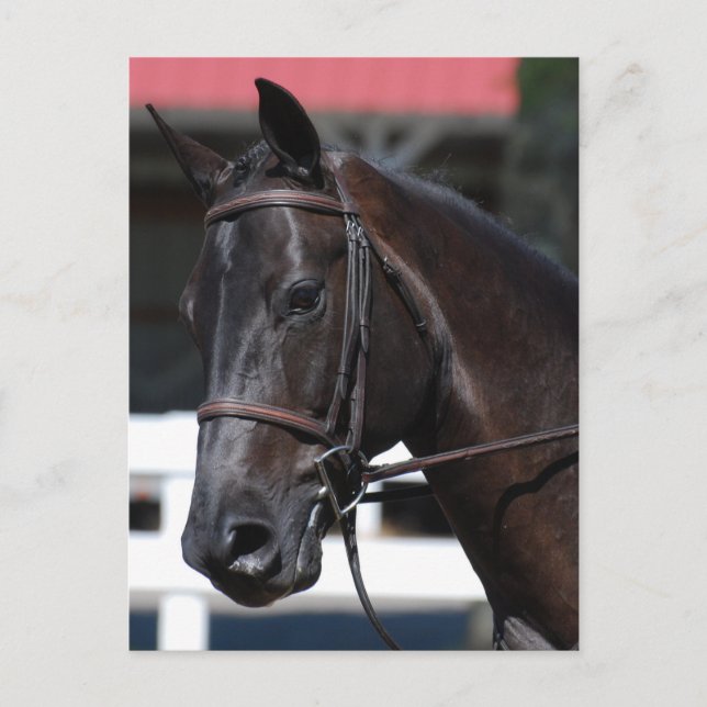 Cartão Postal Personalizar produto (Frente)