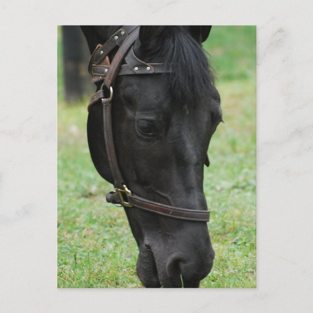 Cartão Postal Personalizar produto (Frente)