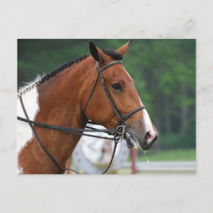 Cartão Postal Personalizar produto