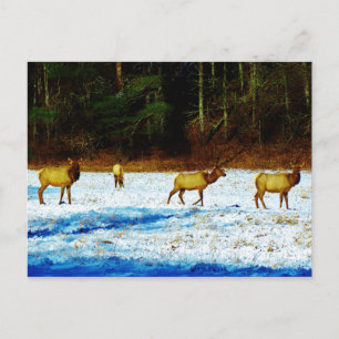 Cartão Postal Personalizar produto