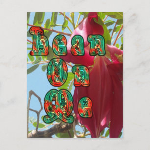 Cartão Postal Personalizar produto