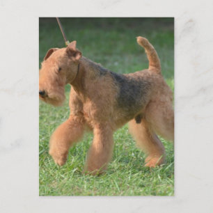 Cartão Postal Personalizar produto