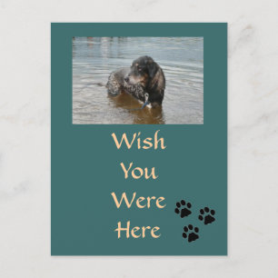 Cartão postal personalizável