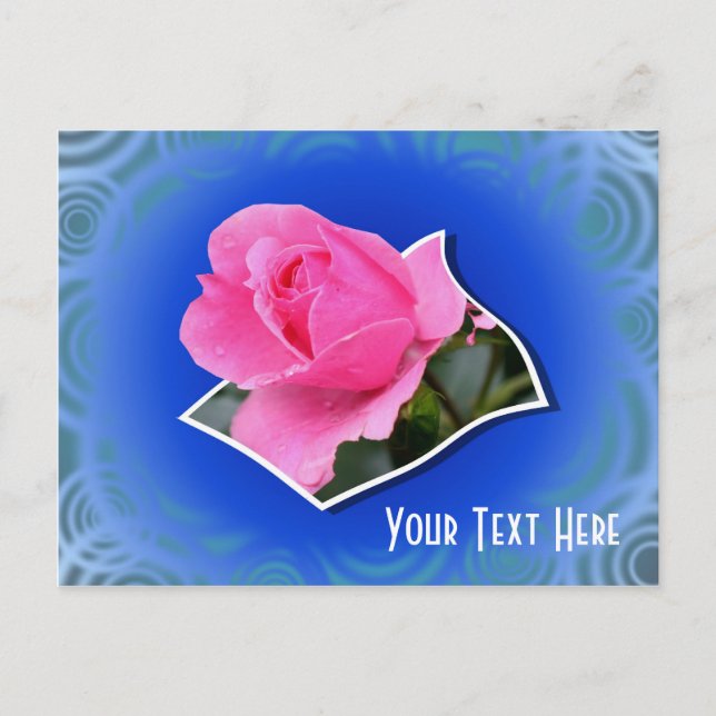 Cartão postal personalizável com rosa cor-de-rosa (Frente)