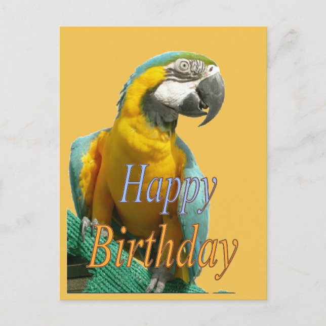 Cartão postal personalizável de aniversário do Par (Frente)
