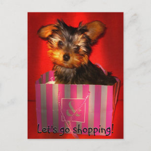 Cartão postal personalizável do Compro de vamos