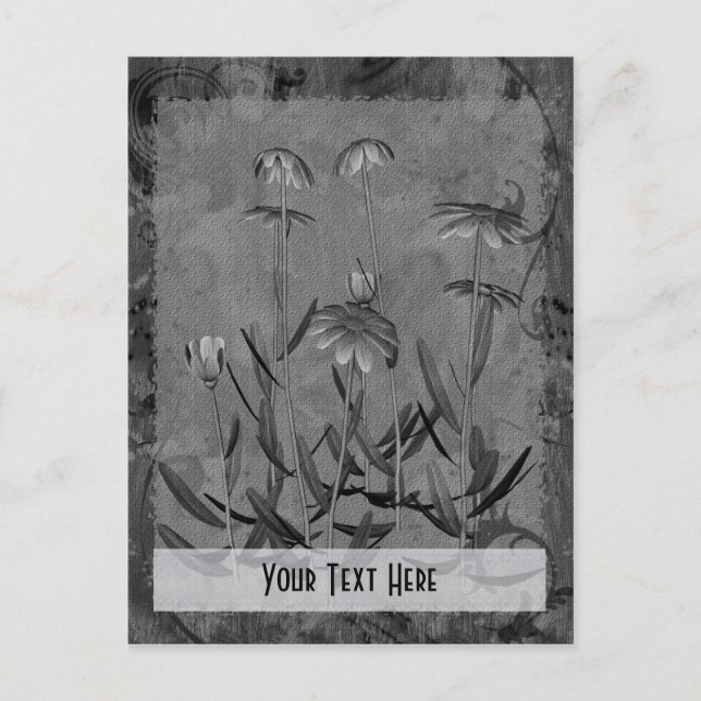 Cartão postal Personalizável Floral do Cinza Daisi (Frente)