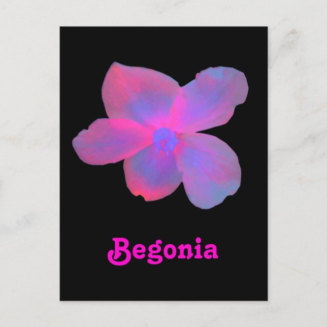 Cartão postal Personalizável para Begonia Fluoresc (Frente)