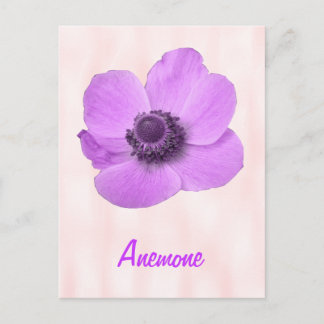Cartão postal personalizável rosa de Anêmona femin