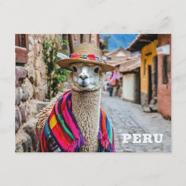 Cartão Postal Peru Llama (Frente)