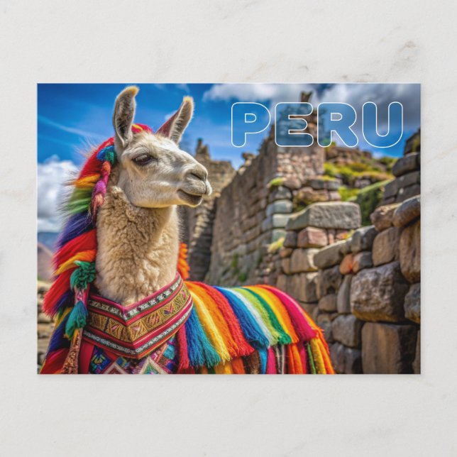 Cartão Postal Peru Llama (Frente)