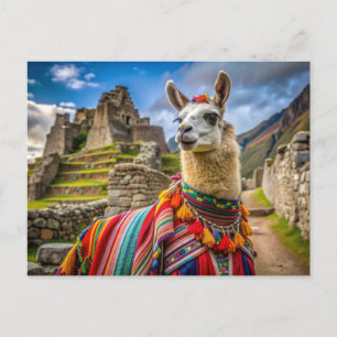 Cartão Postal Peru Llama
