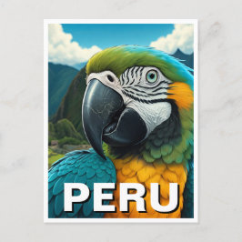 Cartão Postal Peru Macaw