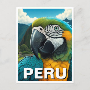 Cartão Postal Peru Macaw
