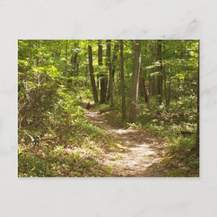 Cartão Postal perus appalachian trail pennPennsylvania