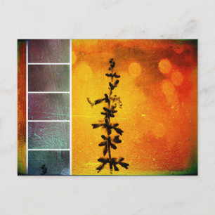 Cartão Postal Pervoskia Collage Aigncard