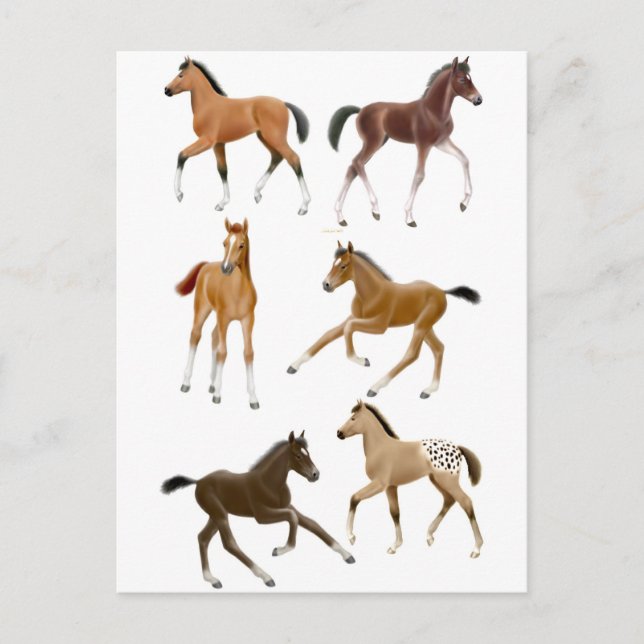 Cartão Postal Pés (Frente)