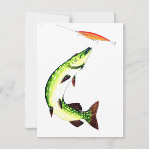 Cartão Postal Pesca a pique e pesca a mosca