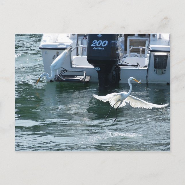 Cartão Postal Pesca com guindaste (Frente)