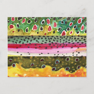 Cartão Postal Pesca de castanho, arco-íris e truta-marrom