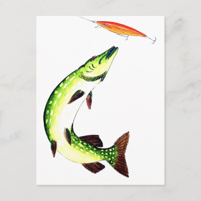 Cartão Postal Pesca de lúcio e pesca com mosca (Frente)