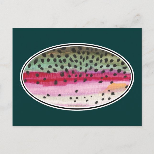 Cartão Postal Pesca de Truta Arco-Íris (Frente)