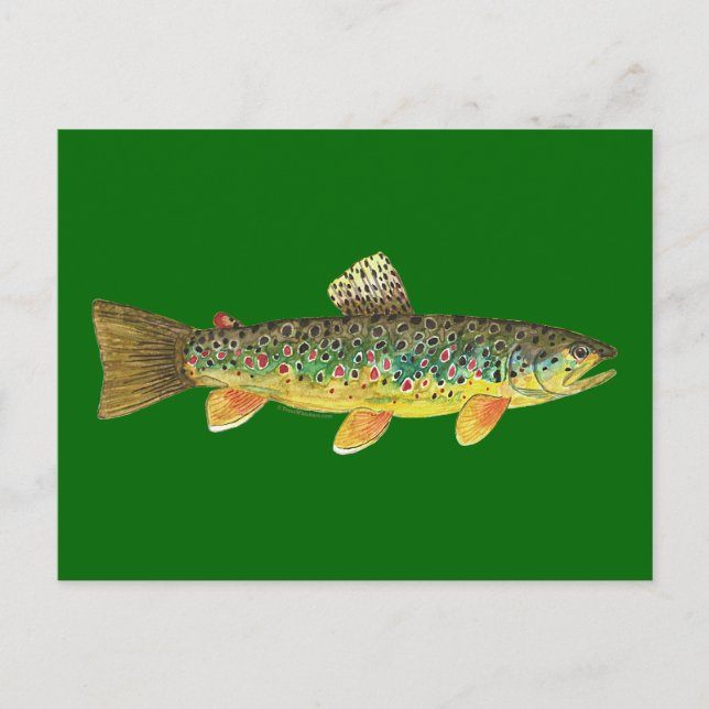 Cartão Postal Pesca de Truta Marrom (Frente)