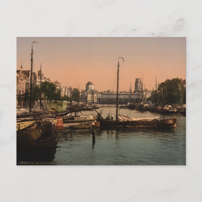 Cartão Postal Pesca em Roterdão (Frente)