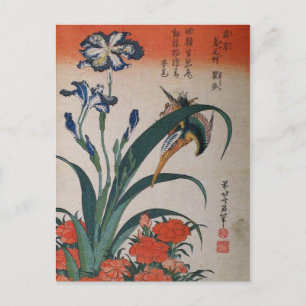 Cartão Postal Pescador-comum, Íris Japonesa e Dianthus