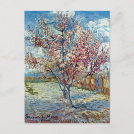 Cartão Postal Pêssego Rosa Árvore Van Gogh Belas Artes