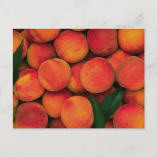 Cartão Postal Pêssegos