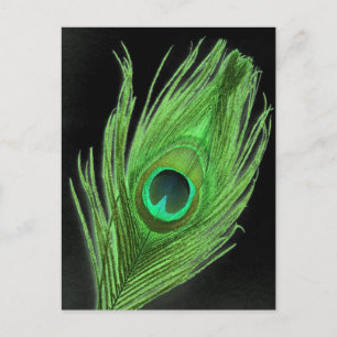 Cartão Postal Peste Verde em Preto