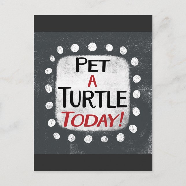 Cartão Postal Pet A Turtle Hoje (Frente)