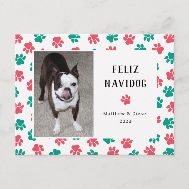 Cartão Postal Pet Christmas Card Photo Funny Red Green (Frente)