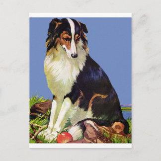 Cartão Postal Pet da família de preciosos