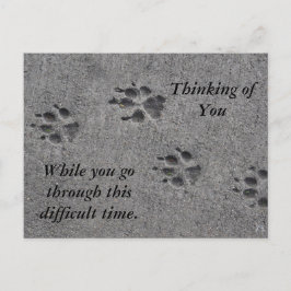Cartão Postal Pet Paws no Cimento - Sempre Lá